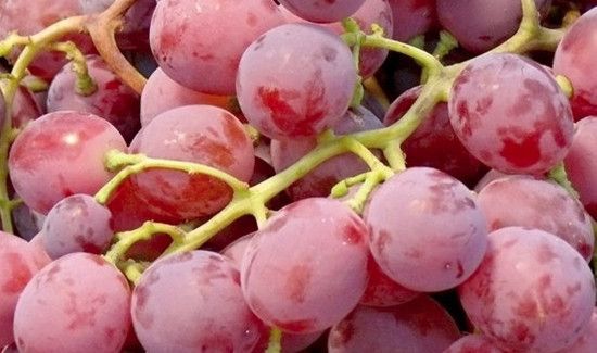 吃红提会发胖吗