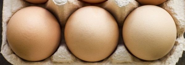 吃鸡蛋能吃柿子吗