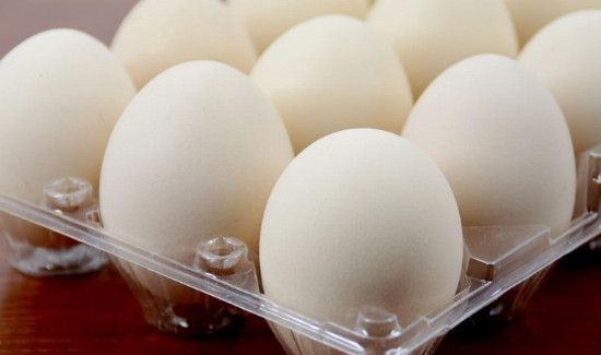 吃鸡蛋能吃柿子吗