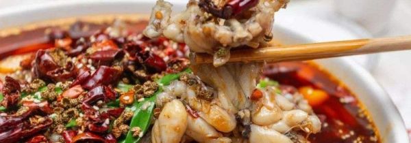 吃蛤蟆肉的禁忌