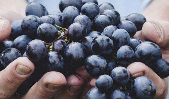 吃葡萄的坏处