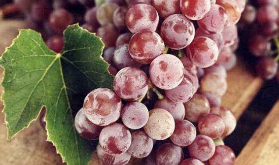 吃葡萄的坏处