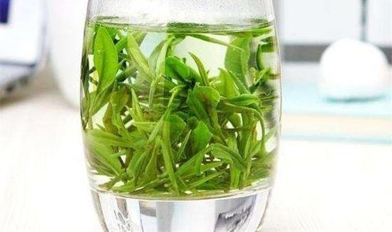 空腹喝绿茶