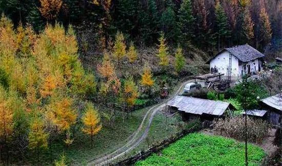 神农架为什么是禁区