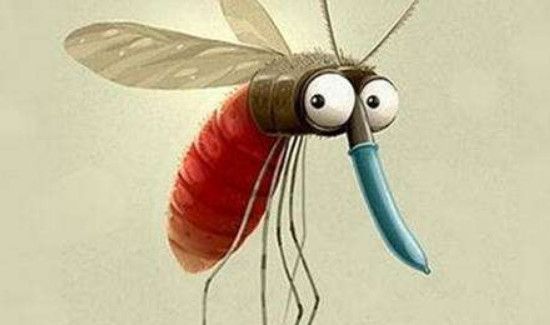 垃圾桶小飞虫怎么消灭小窍门