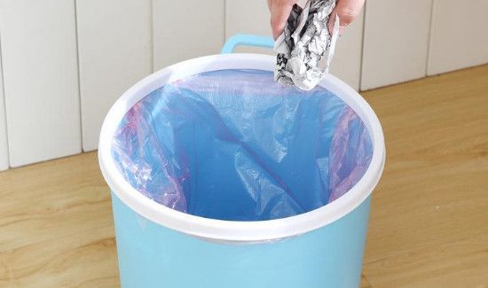 垃圾桶小飞虫是啥虫