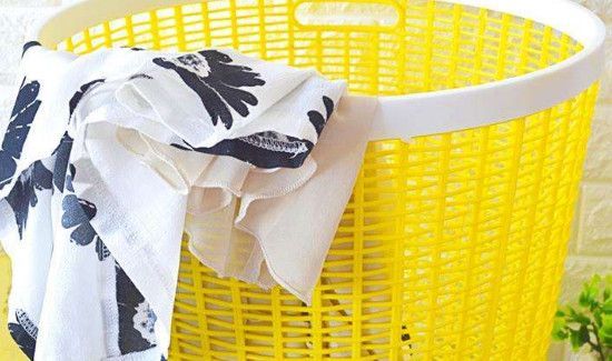 垃圾桶小飞虫是啥虫