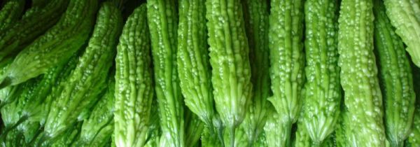 苦瓜和什么相克