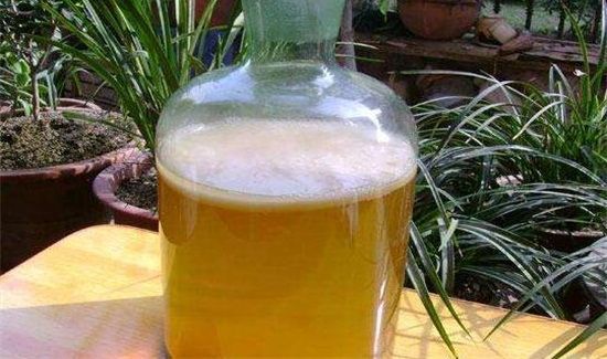 红茶菌能长期喝吗