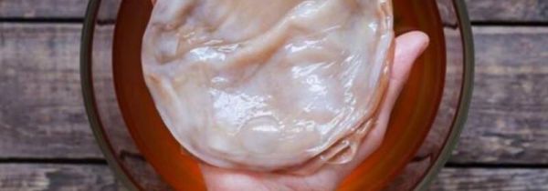 红茶菌能长期喝吗