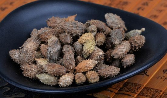 苍耳煮水一次放几颗