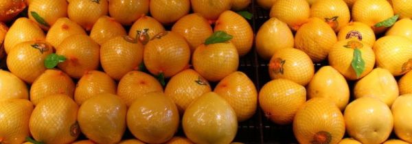 柚子和葡萄能一起吃吗?