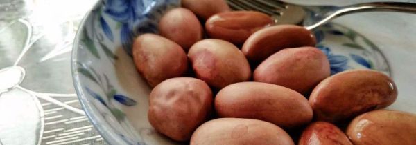 菠萝蜜核什么人不能吃