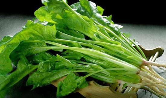 菠菜可以和土豆一起吃吗