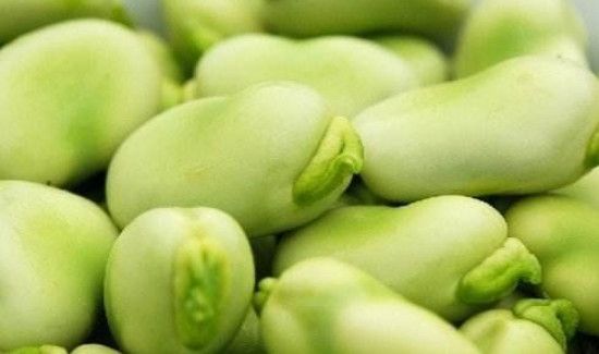 蚕豆吃多了有什么坏处