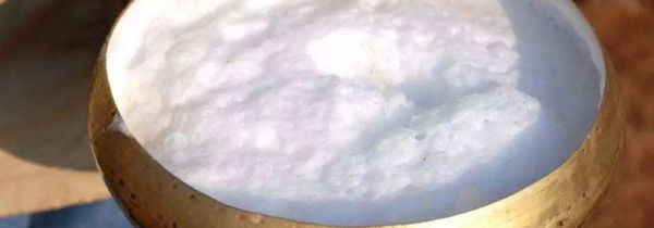 喝骆驼奶禁忌