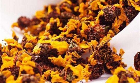 天山雪菊的功效与作用