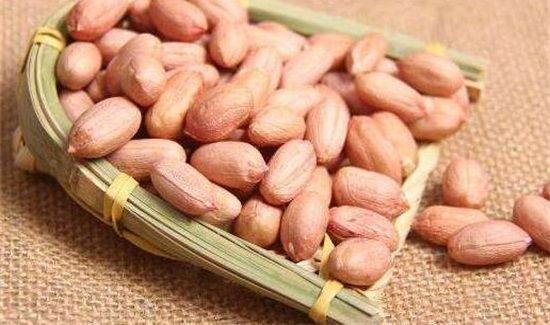 花生外衣的功能与作用