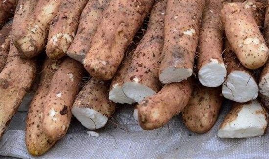 脚板苕和山药功效区别