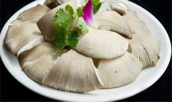 茄子和平菇能一起吃吗