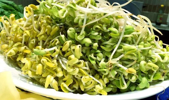 豆芽和螃蟹能一起吃吗