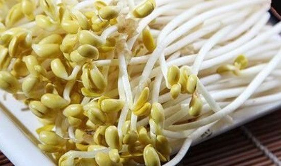 豆芽根能吃吗