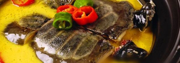 螃蟹和甲鱼可以一起吃吗