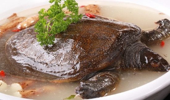 螃蟹和甲鱼可以一起吃吗