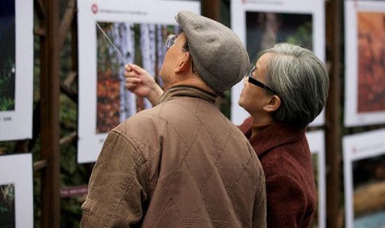 金婚和银婚是多少年