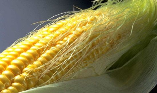 螃蟹和玉米一起吃有问题吗?