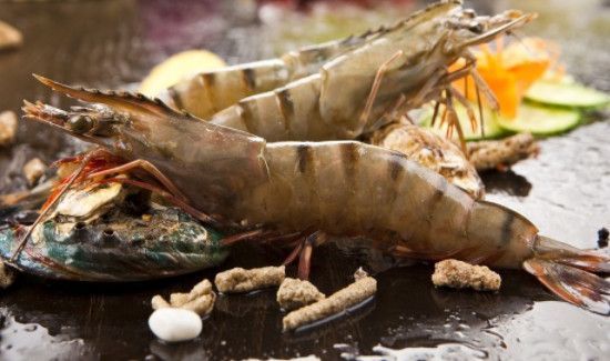 酸奶能和虾一起吃吗