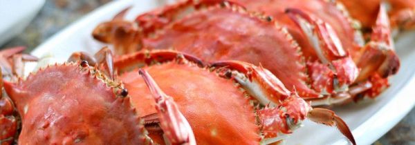 螃蟹和苦瓜能一起吃吗