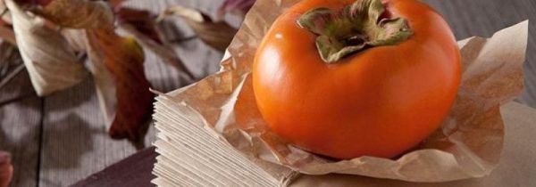 柿子可以和奶一起吃吗