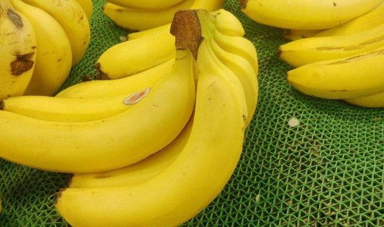 香蕉猕猴桃牛奶能一起榨汁吗