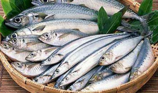 柿子和鲅鱼能一起吃吗?