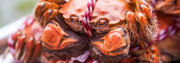 蟹黄的营养价值及禁忌