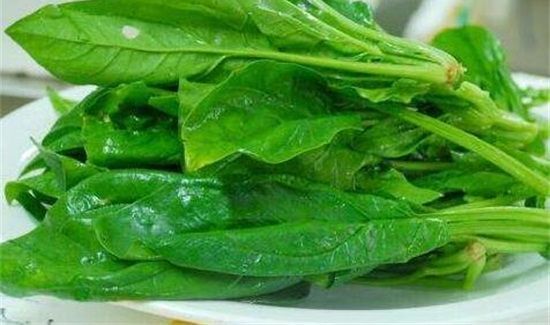 菠菜和牛奶能一起用吗?能一起吃吗?