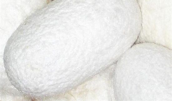 蛋白纤维是什么东西