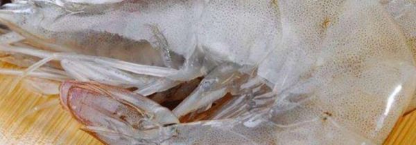 虾和咖啡能一起吃吗