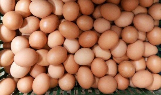 鸡蛋和花生可以一起吃吗