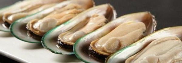 青口贝贝壳属于什么垃圾