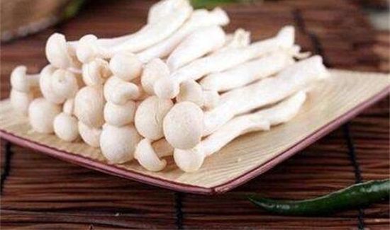 蟹味菇和白玉菇可以一起吃吗