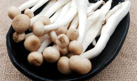 蟹味菇和白玉菇可以一起吃吗