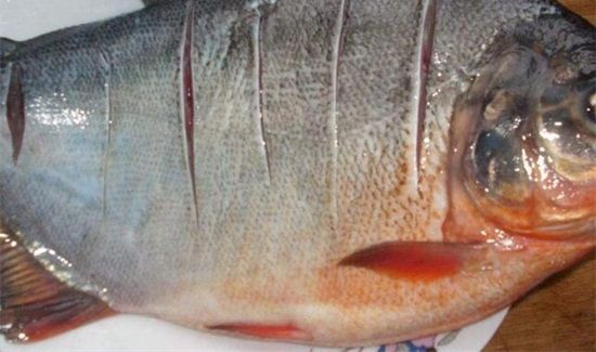 长期吃鱼的危害