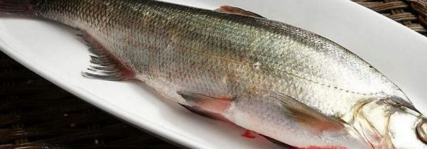 长期吃鱼的危害