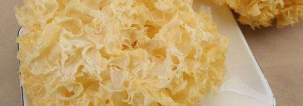 银耳和牛奶可以一起吃吗