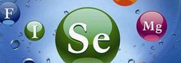 镁在人体中起什么作用