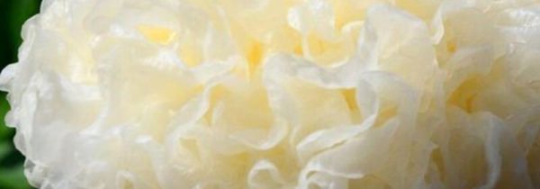 银耳中间的黄心能吃吗