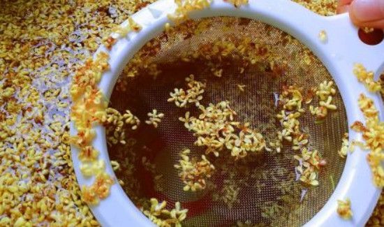 桂花蜜桂花需要焯水吗