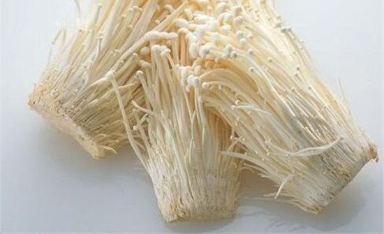 驴油不能和什么一起吃